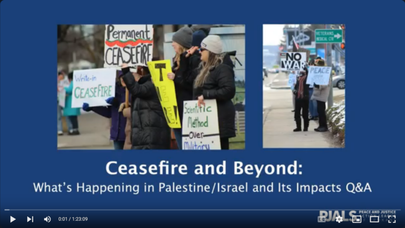 midtone blue background with 2 photos of a rally for ceasefire. White text below the photos read, "ceasefire and beyond: what's happening in Palestine/Israel and its impacts Q&A"